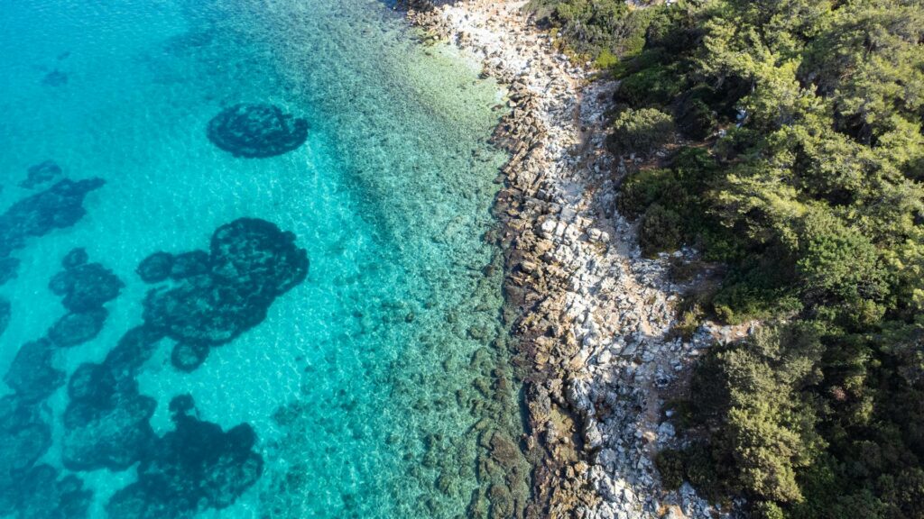 bodrum beaches