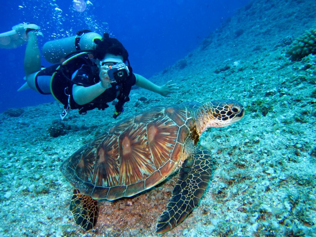 diving in turkey (22)