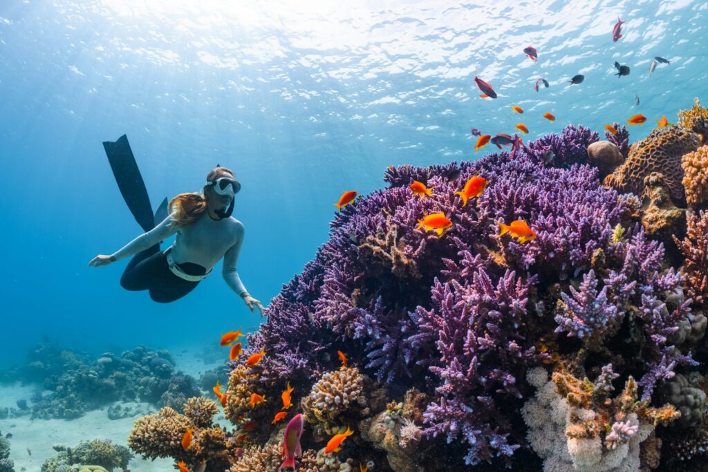 diving in turkey (8)