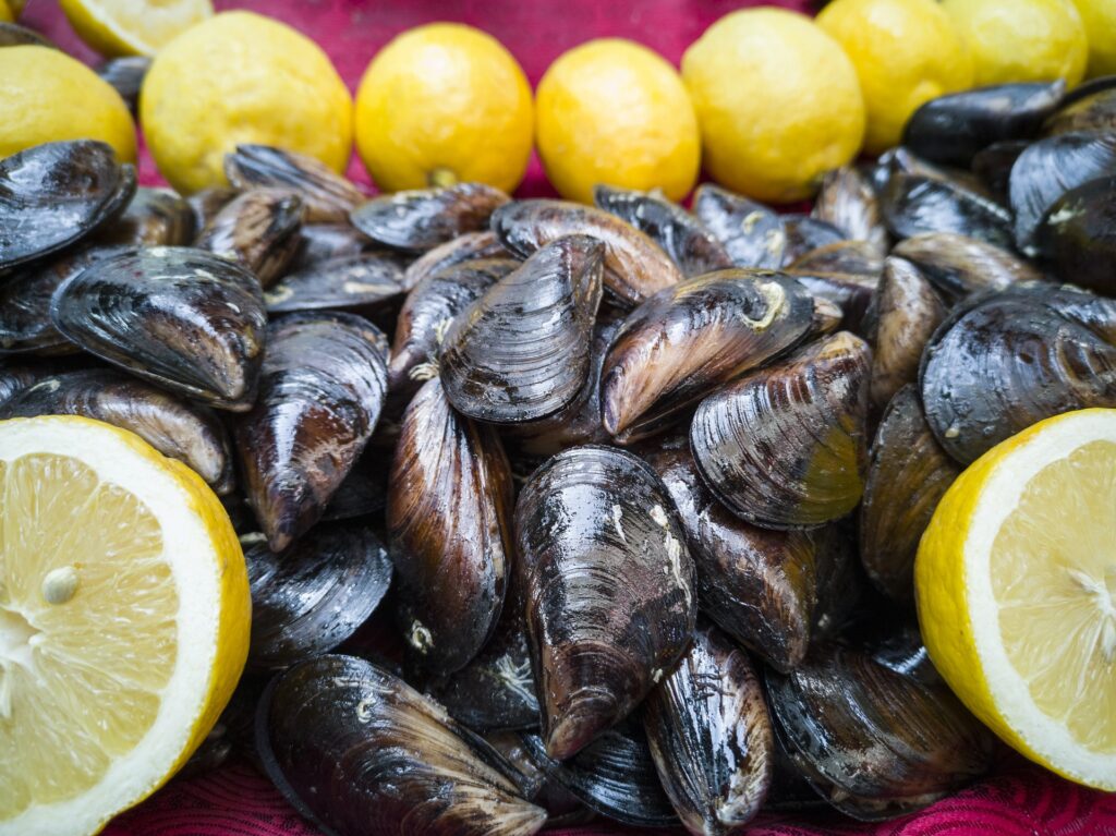 midye dolma